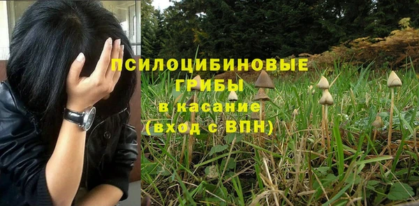 mdma Приозерск